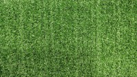 Искусственная трава  10мм  2 метра ширина